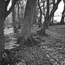 120107_0108.jpg