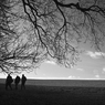 120107_0118a.jpg