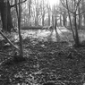 120107_0172.jpg