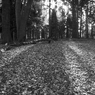 120107_0179.jpg