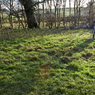 120107_0196.jpg