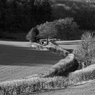 120107_0202.jpg