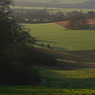 hambledonvalley017copy.jpg