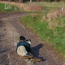 hambledonvalley032copy.jpg