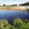Dorney.jpg