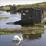 SwansandgirlatDorneyWetlands.jpg
