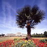 Kew_slidescan_003.JPG