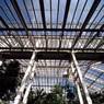 Kew_slidescan_004.JPG