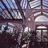 Kew_slidescan_005.jpg