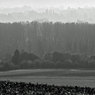Little-Marlow-Mono.jpg