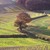 FieldsnearBledlowRidge.jpg