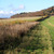LodgeHill.jpg