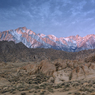 DSC_0518.jpg
