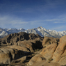 DSC_0556.jpg