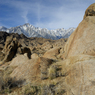 DSC_0590.jpg