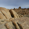 DSC_0609.jpg