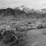 DSC_0653.jpg