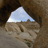 DSC_0664.jpg