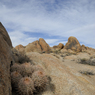 DSC_0684.jpg