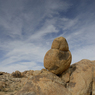 DSC_0686.jpg
