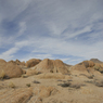 DSC_0687.jpg