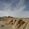 DSC_0691.jpg