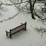 Bench.jpg