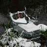 Shopping-Trolley-One.jpg