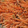 Masha_carrots.jpg