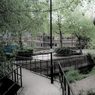 York-Stream-MK.jpg