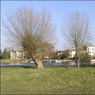 BourneEnd.jpg