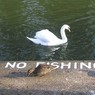 NoFishing.jpg
