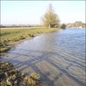 NorthofCookham.jpg