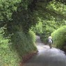 HorseandriderPullingshillWood.jpg