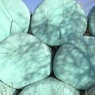 Bales.jpg