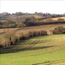 FieldsnorthofMarlow.jpg