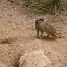 PC2_2004_01.jpg