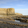 DSC_0379.jpg