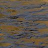 DSC_0380.jpg