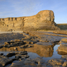 DSC_0387colour.jpg