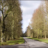 LimeAvenueTurvilleHeath.jpg