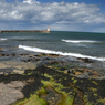DSC_0012.jpg