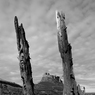 DSC_0035.jpg
