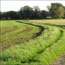 CyclistnearShrubberyCopse.jpg