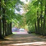 LillibrookeManor.jpg