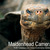 Tortoise.jpg