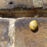 05062008144.jpg