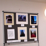 P1190419crop.jpg