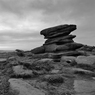 _DSC1793.jpg