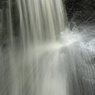 DSC_1017.jpg